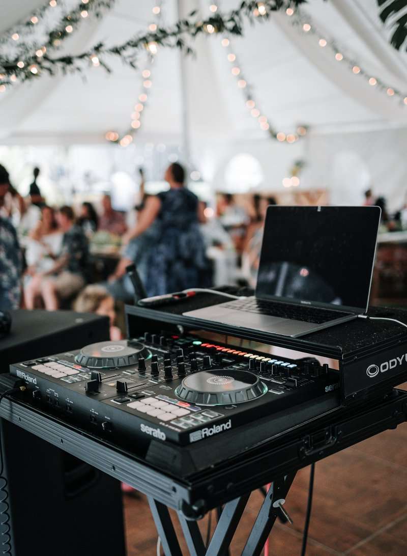 Wedding DJ Entertainer - A Delightful Bitefull Catering -  Atlanta GA