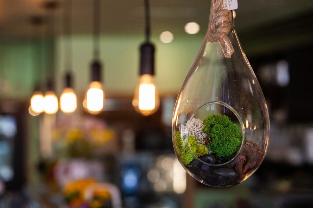 An eco-friendly glass container with moss hanging from the ceiling, perfect for eco friendly catering events.