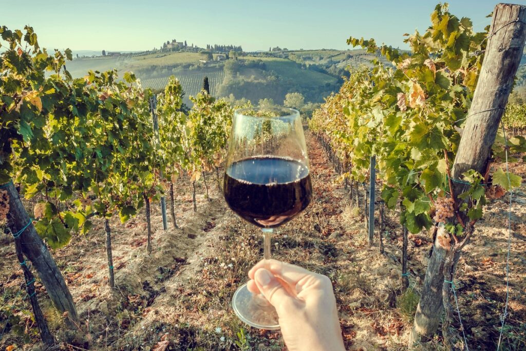 A hand holding a glass of wine in an eco-friendly vineyard.