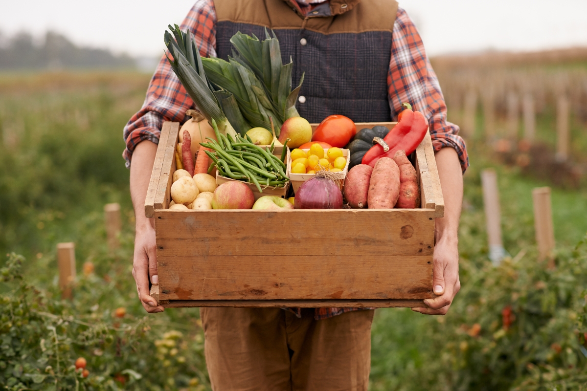 A person holding a wooden crate filled with various fresh vegetables, including potatoes, leeks, tomatoes, bell peppers, and beans in an outdoor garden setting—perfect for eco-conscious catering.