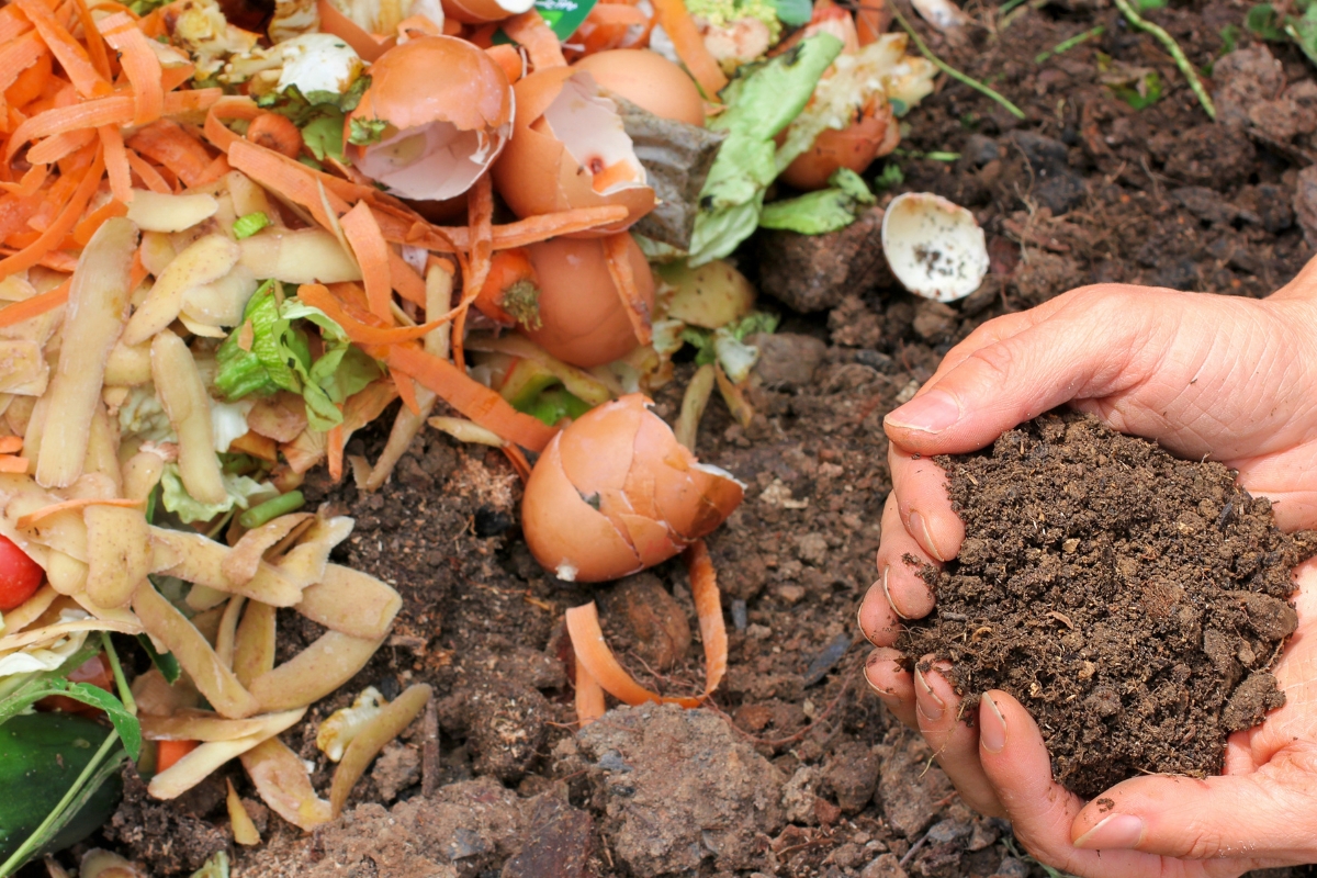 Hands holding rich compost soil next to a pile of food scraps including eggshells, vegetable peels, and other organic material—a testament to eco-conscious catering practices.