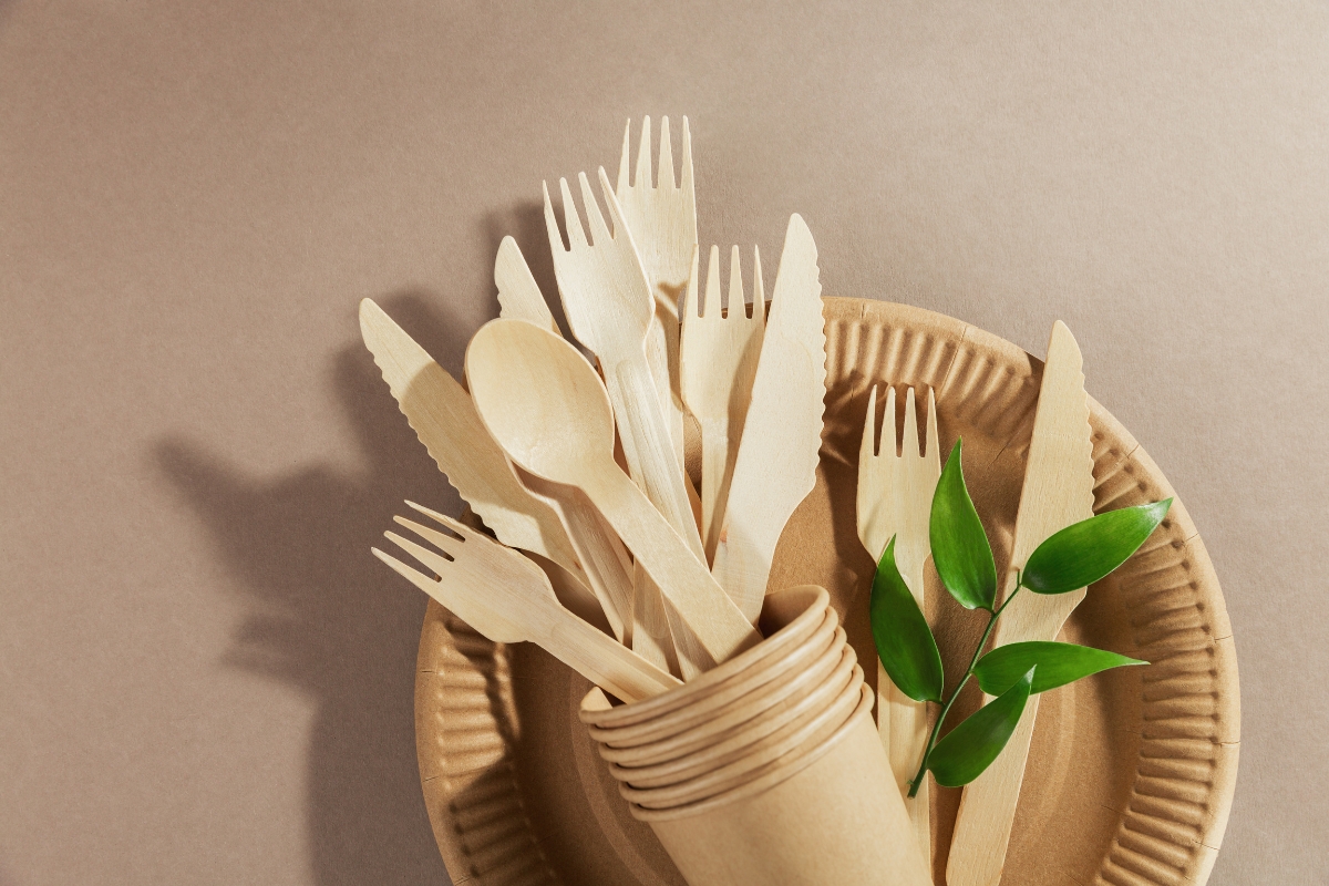 An arrangement of biodegradable wooden cutlery and paper plates, with a small green plant, displayed on a brown background, epitomizing eco-conscious catering.