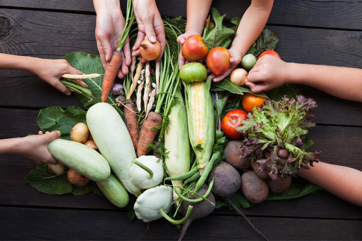 Hands reaching for various fresh vegetables displayed on a wooden surface, including carrots, tomatoes, eggplants, potatoes, zucchini, corn, lettuces, and onions—perfect for a farm to table catering feast.